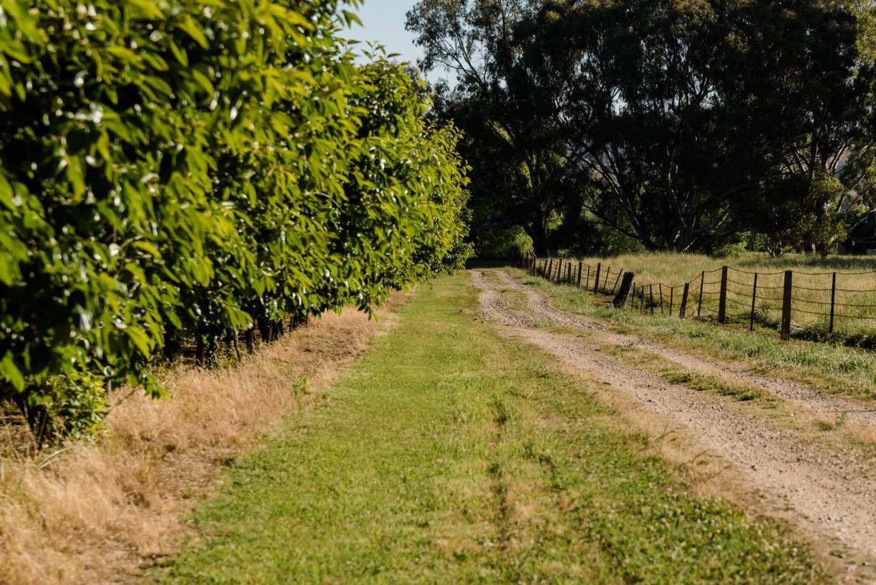 Walnut Tree Cottages Whorouly Εξωτερικό φωτογραφία