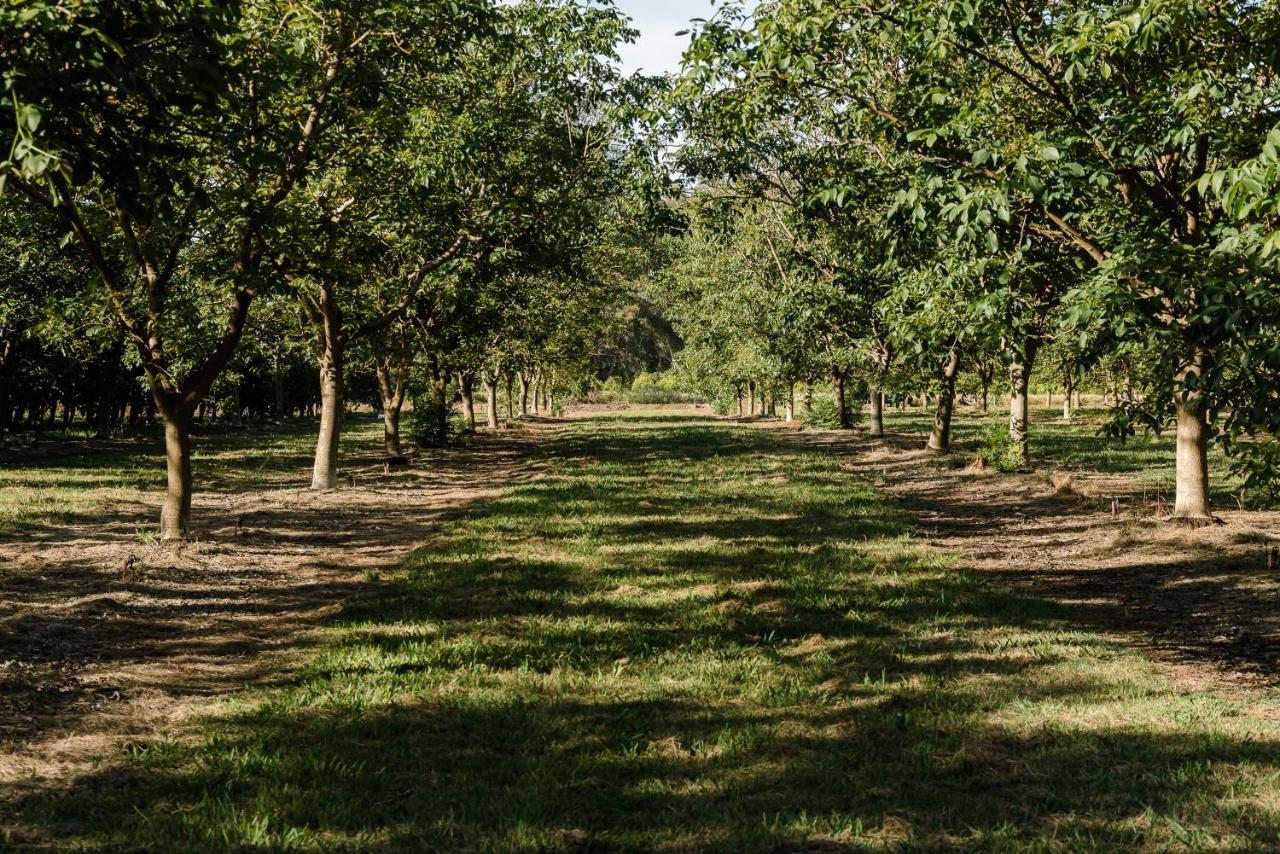 Walnut Tree Cottages Whorouly Εξωτερικό φωτογραφία